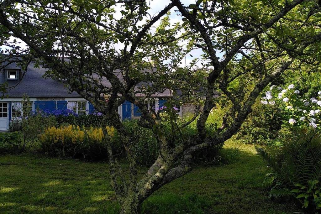 Saint Norgard - Hameau Breton Villa Crozon Eksteriør billede